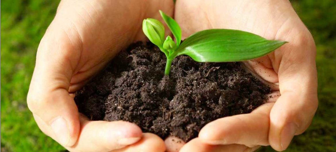 Abilitazione Fito Sanitari